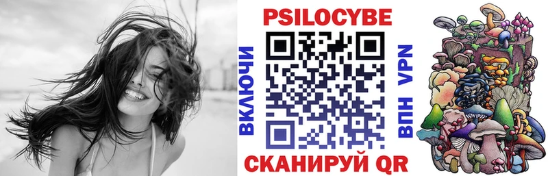 Псилоцибиновые грибы Psilocybe Морозовск